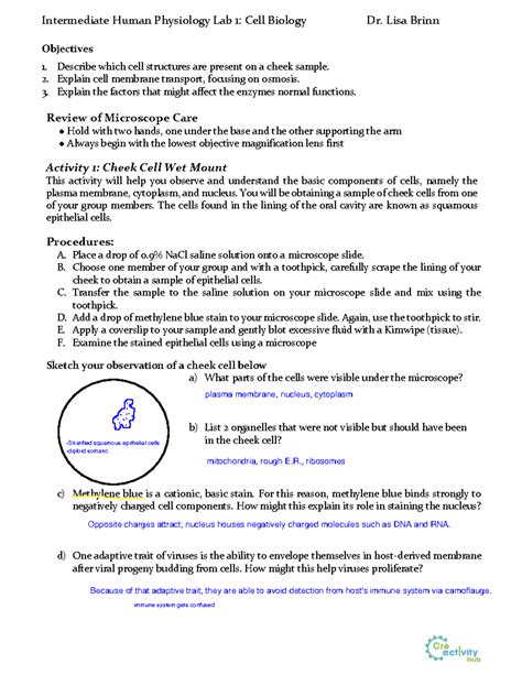 Lab Cell Bio Protocol Intermediate Human Physiology Lab Cell
