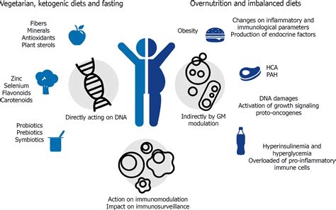 Role Of Diet And Gut Microbiota On Colorectal Cancer Immunomodulation