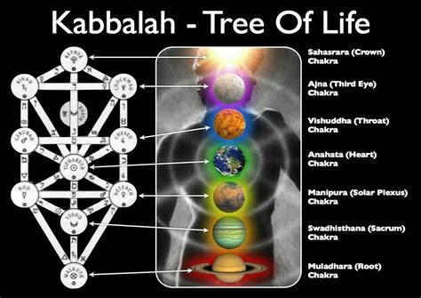 Kabbalah Tree Of Life Tree Of Life Kabbalah Chakra