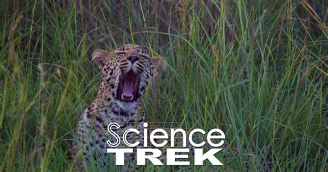 Science Trek Sleep When Do You Sleep Pbs