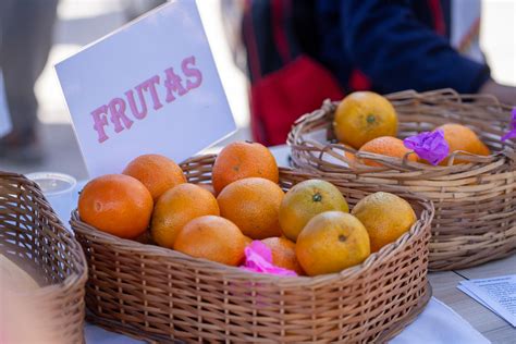 Dge Y Salud Lanzan La Campa A Mendoza Se Mueve Para Promover Infancias