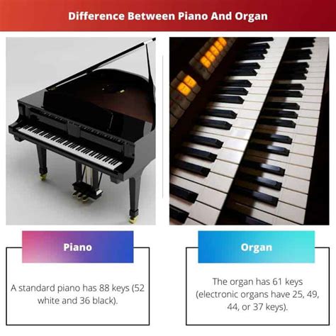 Piano Vs Organ Perbedaan Dan Perbandingan