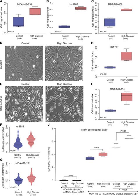 Jci Insight Diabetes Associated Breast Cancer Is Molecularly Distinct