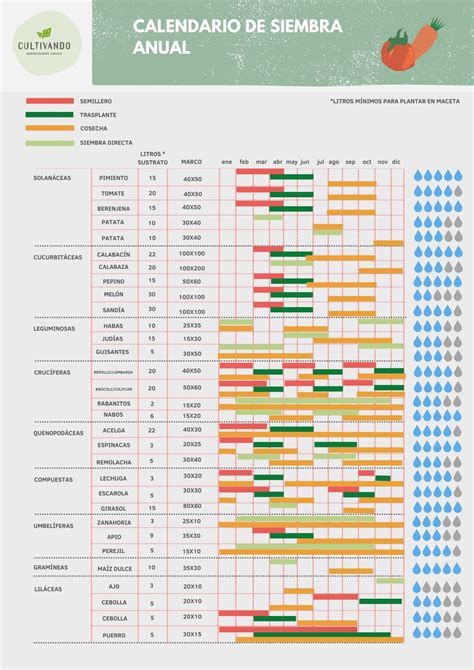Qué sembrar en octubre Cultivando Tienda Espacio Agroecológico