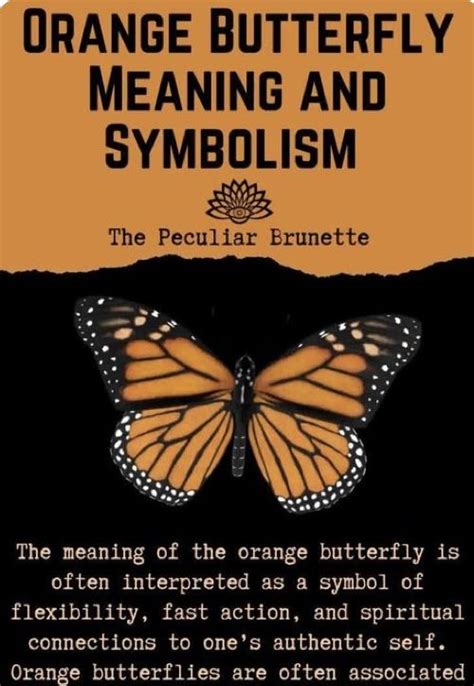 Complete Guide To Butterfly Meaning And Symbolism Artofit