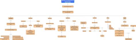 Portafolio De Ginecología Y Obstetricia Métodos Diagnósticos En Ginecología Mapa Conceptual