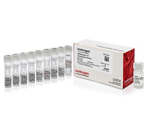 Megascript™ T7 Transcription Kit Plus