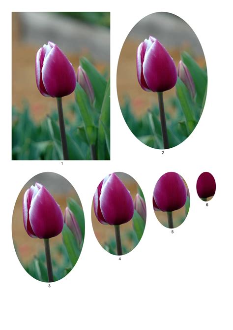 Flower Pyramid Papers.