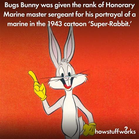 Bugs Bunny No Meme Origin | tomtaku