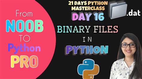 Day 16 Binary Files In Python Reading And Writing In Binary Files