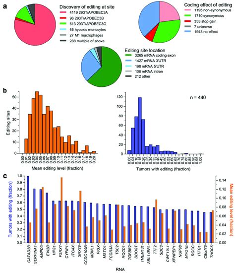 Apobec Mediated Rna Editing Sites A Characteristics Of The Sites