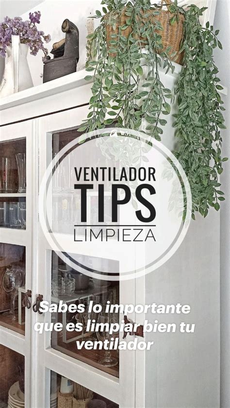 Sabes Lo Importante Que Es Limpiar Bien Tu Ventilador Truco Para