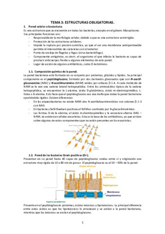 Tema 3 Estructuras Obligatorias Pdf