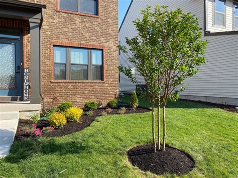 Outdoor Living TerraCare Landscaping