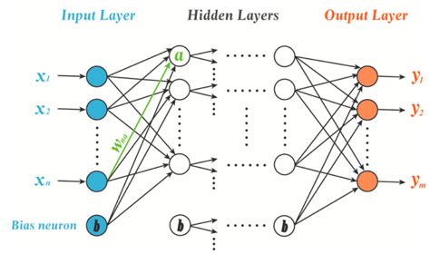 Architecture Of Multi Layer Perceptron Mlp [18] Download Scientific Diagram