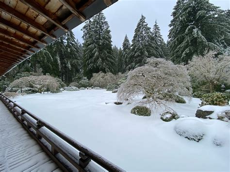 Winter Scenes from the Garden – Portland Japanese Garden