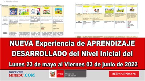 Nueva Experiencia De Aprendizaje Desarrollado Del Nivel Inicial Del