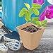 Amazon Dsuwazu Pcs Peat Pots For Seedlings Inch Seed