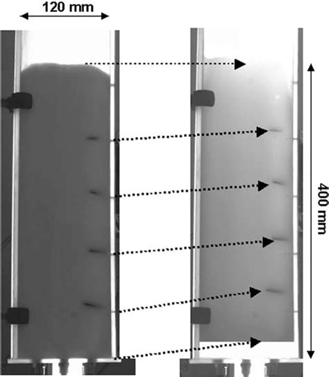 Figure 2 From Bubble Motion Measurements During Foam Drainage And