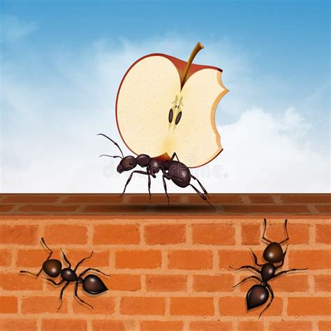 Ant And Apple Stock Vector Illustration Of Cute Legs 25690506