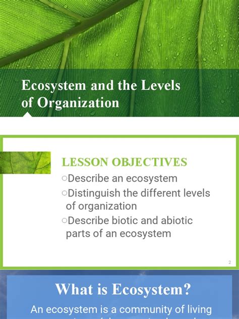 3 Ecosystem and The Levels of Organization | PDF | Ecosystem | Soil