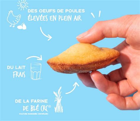 Madeleines La Vanille Le Ster