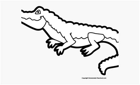 alligator clipart outline 10 free Cliparts | Download images on ...