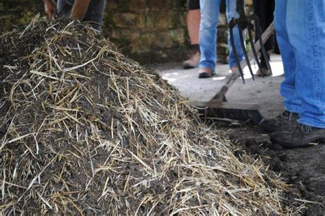 Cómo hacer bocashi abono orgánico VeoVerde