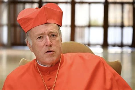 Cardinal Mcelroys Attack On Church Teachings On Sexuality Is A Pastoral Disaster — Fr Raymond