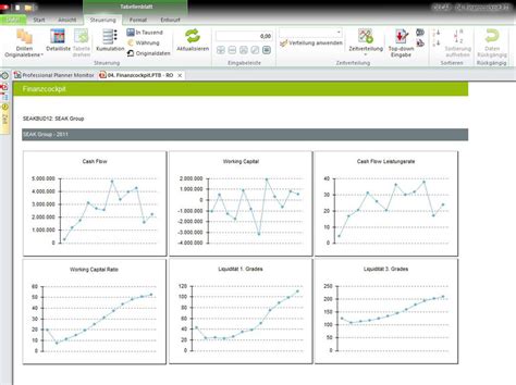 Professional Planner Consultnetwork Controlling Strategy