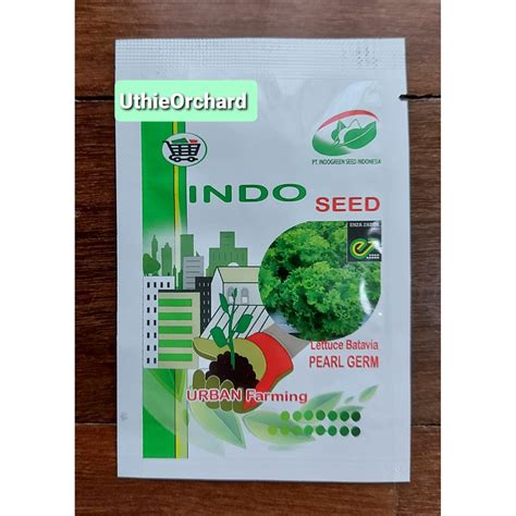 Jual Benih Indo Seed Enza Zaden Selada Grand Rapids Batavia Pearl