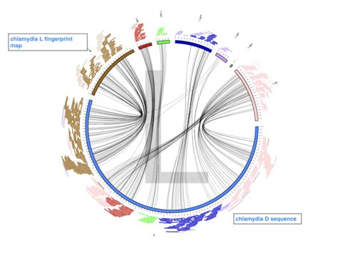 Introduction To Circos CIRCOS Circular Genome Data Visualization