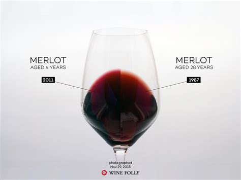 The Comprehensive Guide to Merlot | Wine Folly