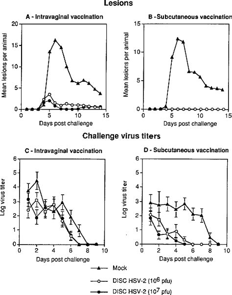 Figure 3 From A Genetically Inactivated Herpes Simplex Virus Type 2