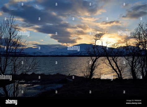 Sunset Over Snowy Mountain And Fjord Landscape With Tree In Front Stock