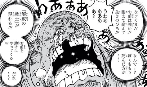 Onepiece 1095「死んだ方がいい世界」 我思う故に・・・新館我思う故に・・・新館