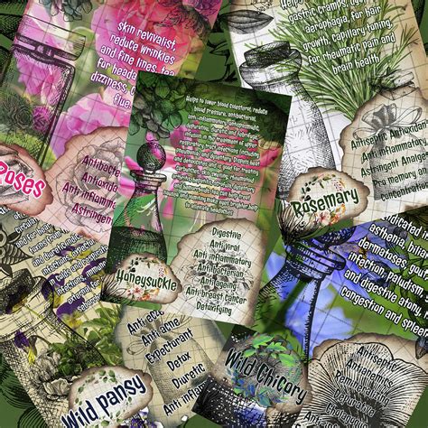 Vintage Pages With Herbs Properties Photograph By Ana Naturist Fine