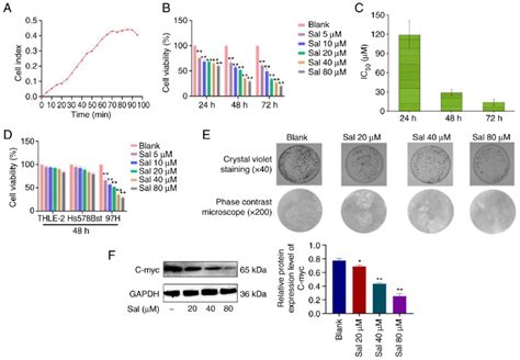 Sal Suppresses Viability In H Cells A Natural Growth Curve Of H