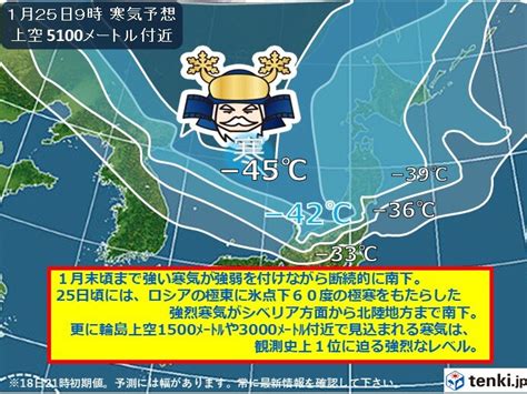 祝雷（シュクライ）のわき芽葉山農園（1月中旬） 暇人主婦の家庭菜園 楽天ブログ