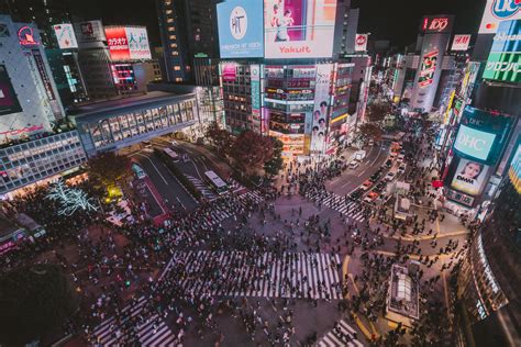 Que faire à Tokyo le soir une fois la nuit tombée L Oiseau Rose