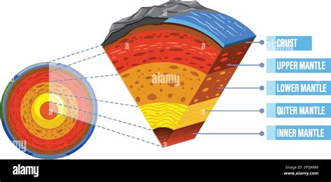 Diagrama Que Muestra Las Capas De La Ilustración De La Litosfera Terrestre Imagen Vector De