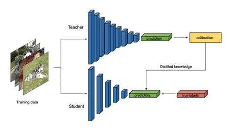 Knowledge Distillation