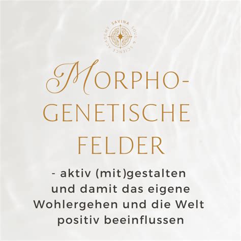 Morphogenetische Felder Aktiv Mit Gestalten Mivedo Savina