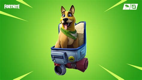 Fortnite Doggo Skin Wallpapers - Top Free Fortnite Doggo Skin Backgrounds - WallpaperAccess