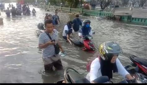 Pelabuhan Tanjung Emas Semarang Kembali Terendam Banjir Rob Pekerja Panik