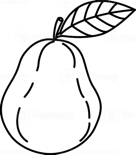 Guava Outline Hand Drawn 20695696 Png