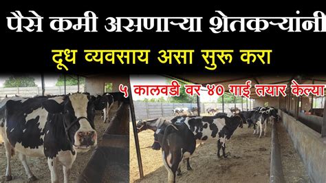 कमी भांडवल असणाऱ्या शेतकऱ्यांनी दूध व्यवसाय असा सुरू करा Hf Cow Farming Youtube