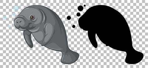 Manatee with its silhouette 1428418 Vector Art at Vecteezy