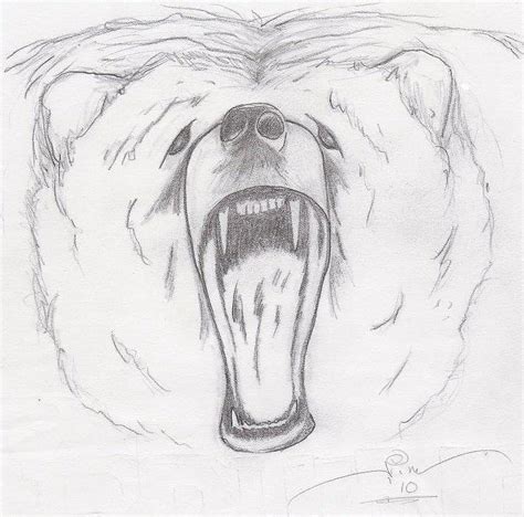 Angry Bear Drawing by Jim Keller - Pixels