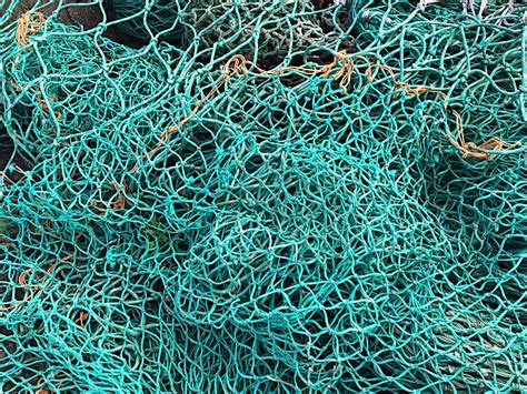 fishing net green  photo  pixabay